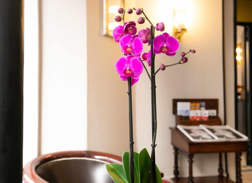 Room amenity Photo