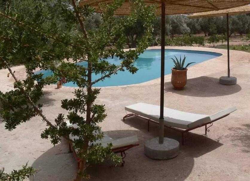 Pool Photo