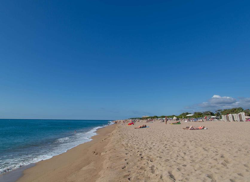 Beach Photo