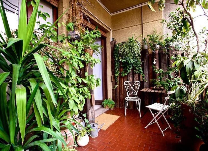 Patio Photo