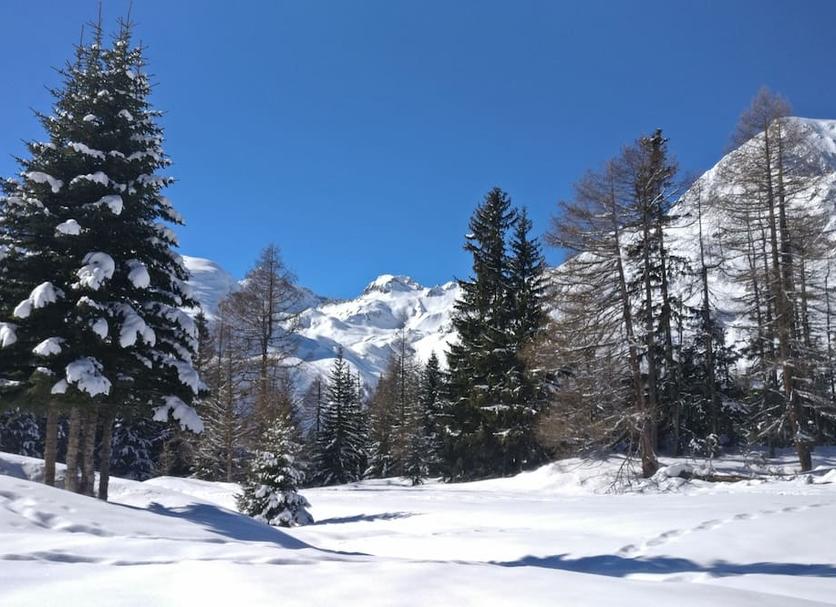 Outdoor view Photo
