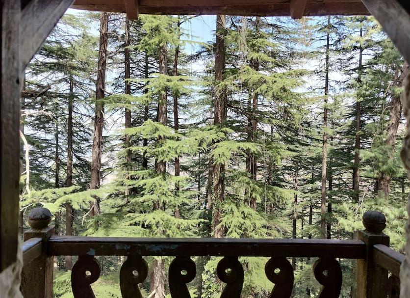 Outdoor view Photo