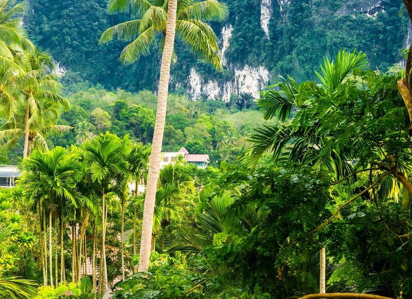 Outdoor view Photo