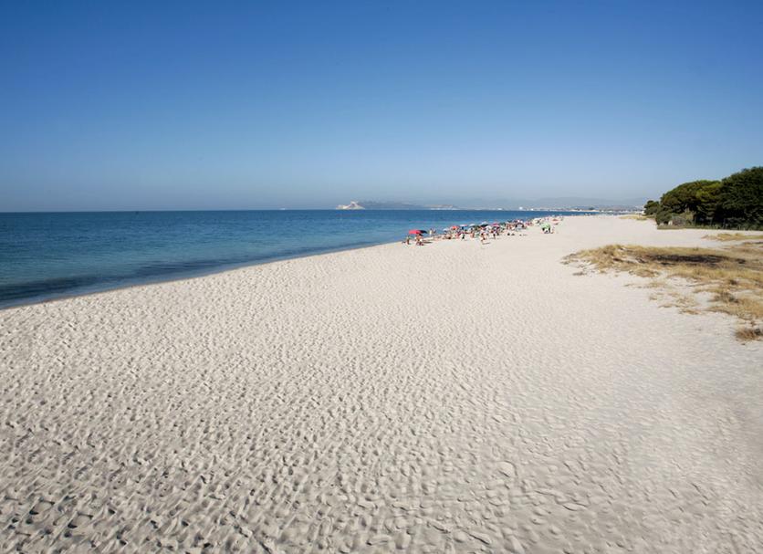 Beach Photo