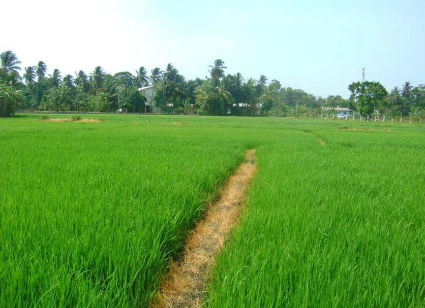 Outdoor view Photo