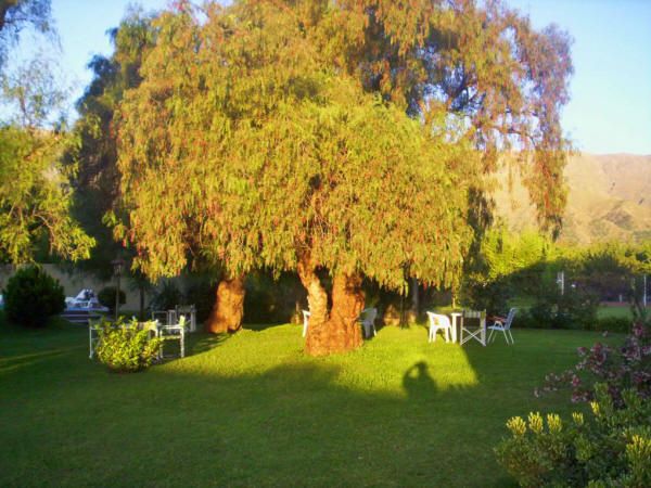 Outdoor view