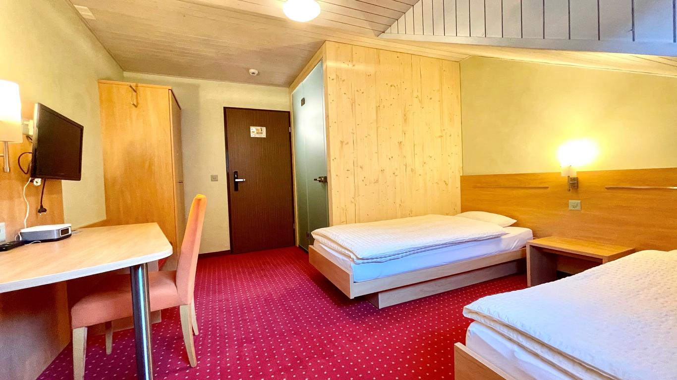 Hotel des alpes Fiesch