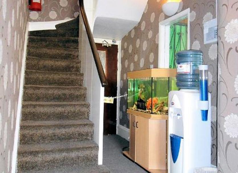Stairs Photo