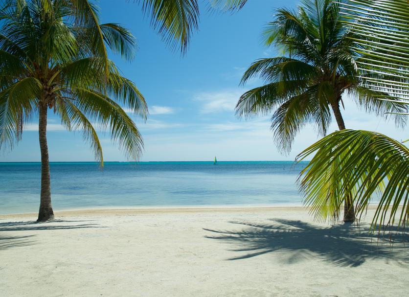 Beach Photo