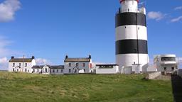 Find cheap flights from Bologna to Ireland